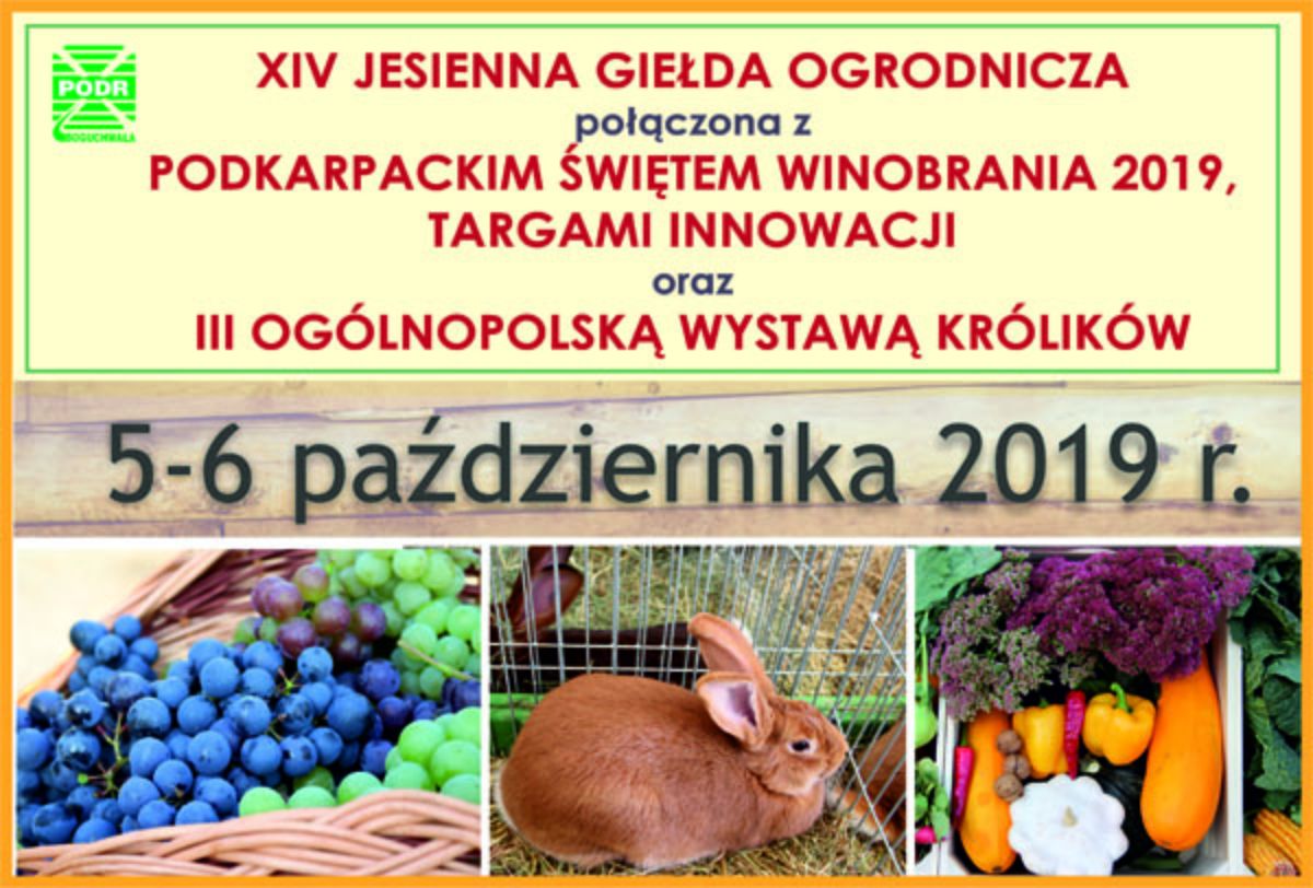 Jesienna Giełda Ogrodnicza połączona z Świętem Winobrania i Ogólnopolską Wystawą Królików - Zdjęcie główne