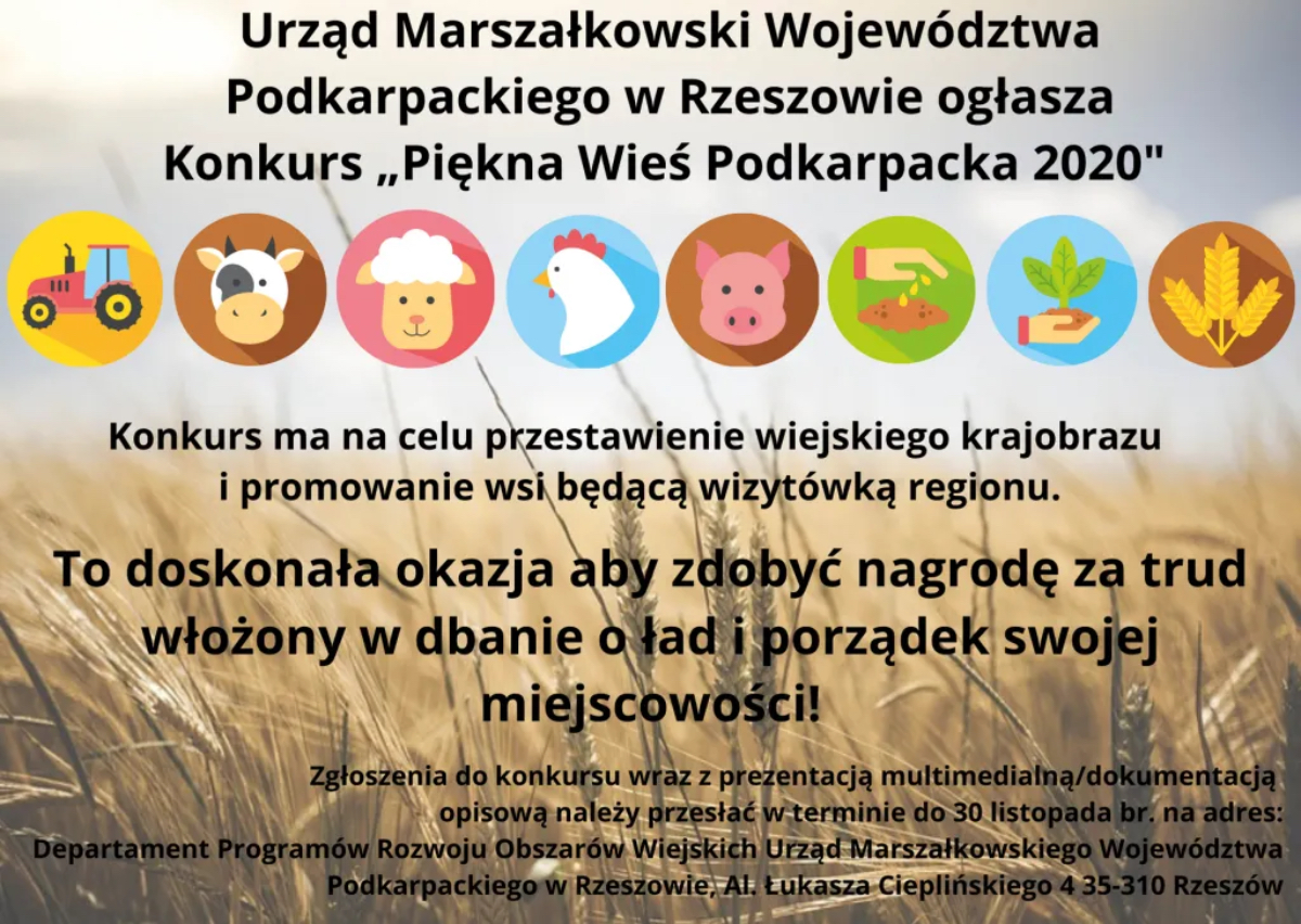 Konkurs ,,Piękna Wieś Podkarpacka 2020’’ - zachęcamy do wzięcia udziału!  - Zdjęcie główne