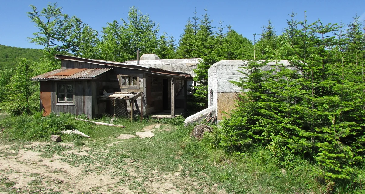 Chata Rebrowa zniknęła z krajobrazu Bieszczadów - Zdjęcie główne