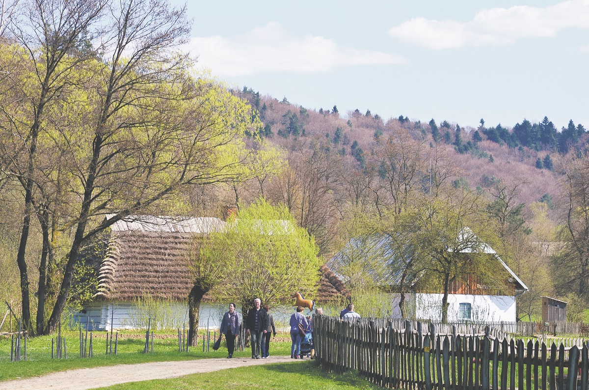 Chcesz zwiedzić bezpłatnie Skansen w Sanoku? Teraz to możliwe - Zdjęcie główne