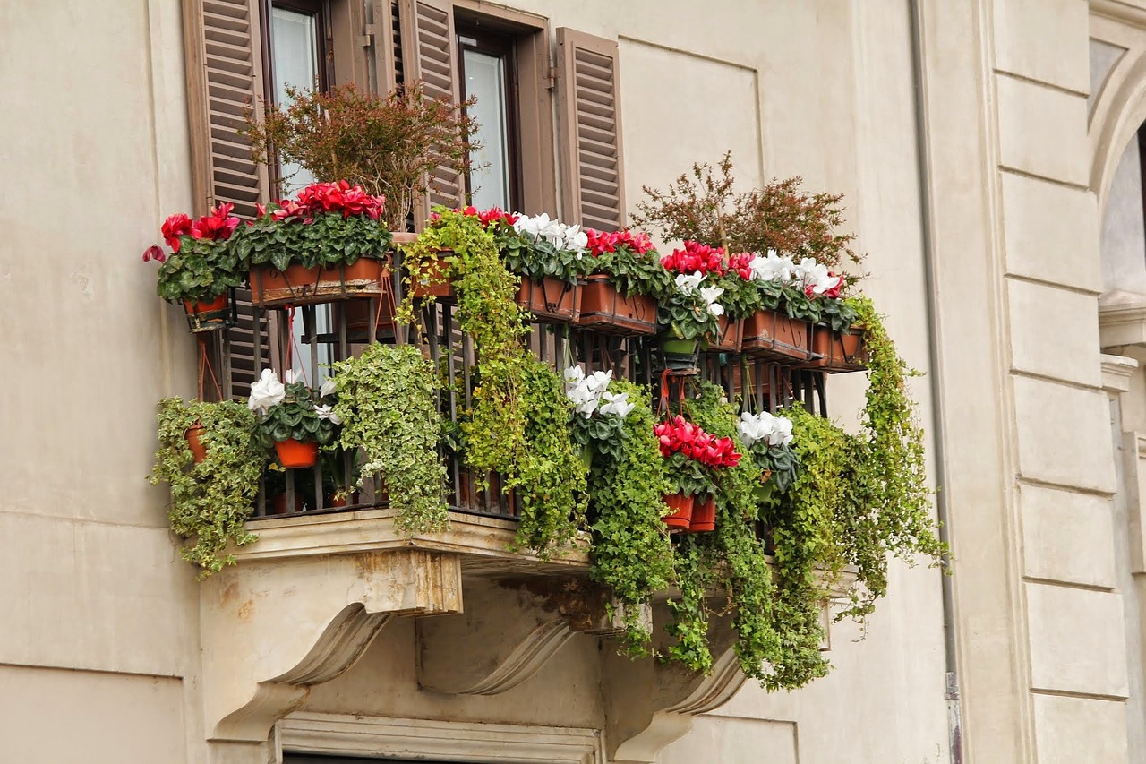 Chcesz mieć piękny ogród lub balkon? Zapraszamy na I Targi Ogrodnicze w Ustrzykach Dolnych - Zdjęcie główne