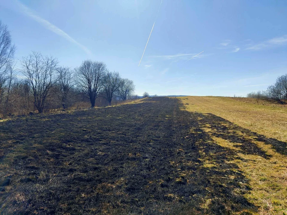 Ponad 3 hektary spalonych traw w okolicy obwodnicy Sanoka [ZDJĘCIA] - Zdjęcie główne