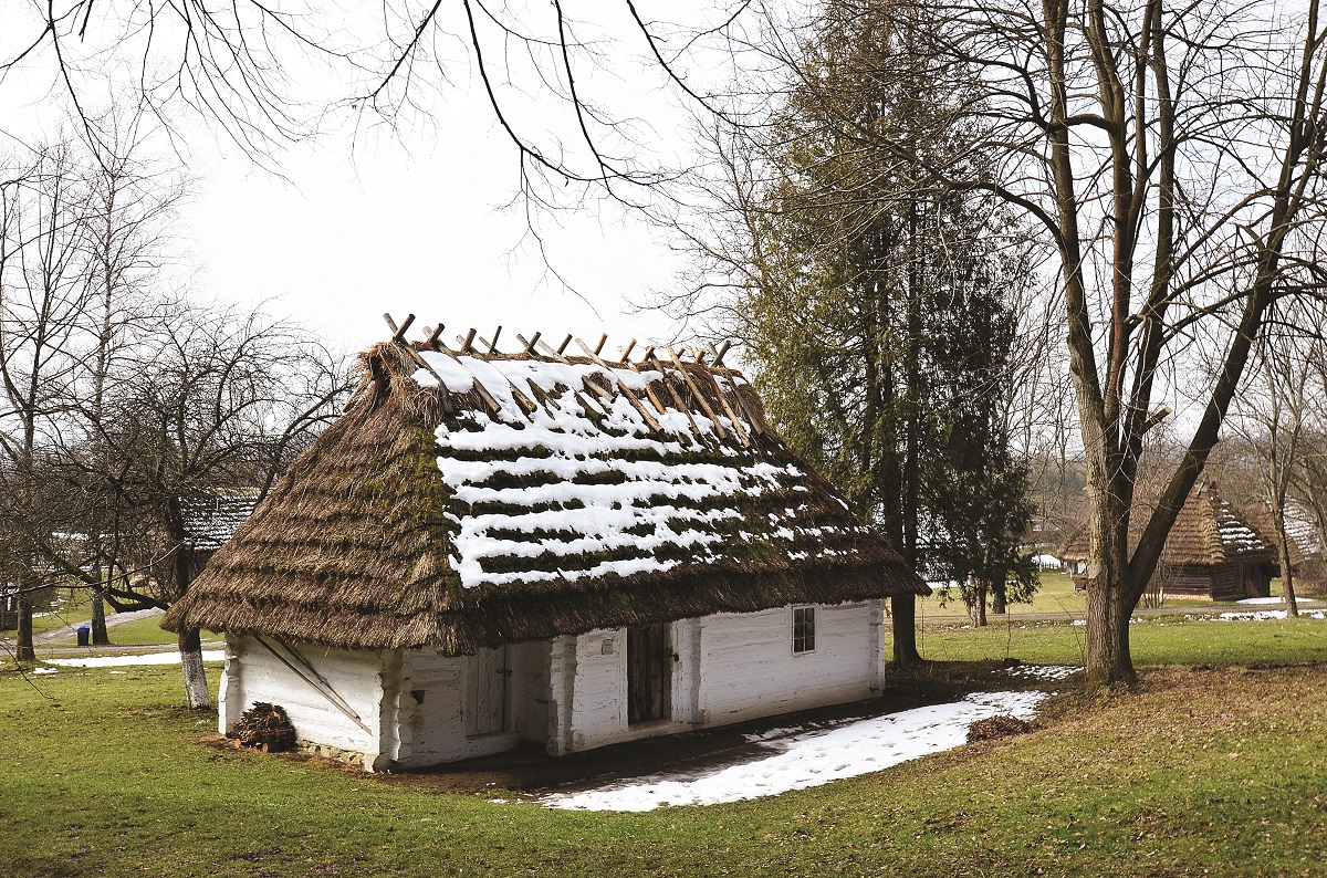 Sanocki skansen w drewnie zaklęty - Zdjęcie główne