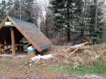 Podkarpacie. Leśnicy oburzeni wandalizmem - Zdjęcie główne