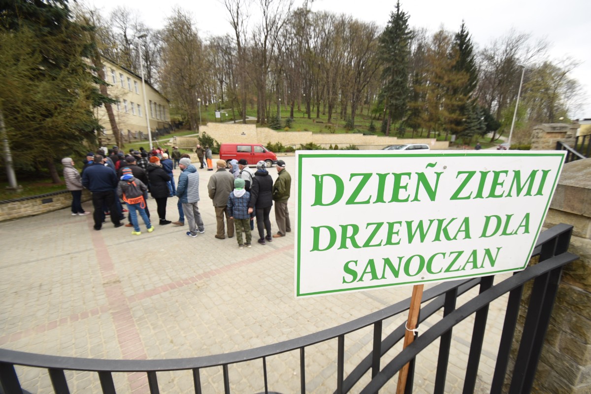 Akcja "Drzewka dla sanoczan" - Dzisiaj na Placu Harcerskim rozdano ponad 30 tysięcy sadzonek! [ZDJĘCIA+VIDEO] - Zdjęcie główne