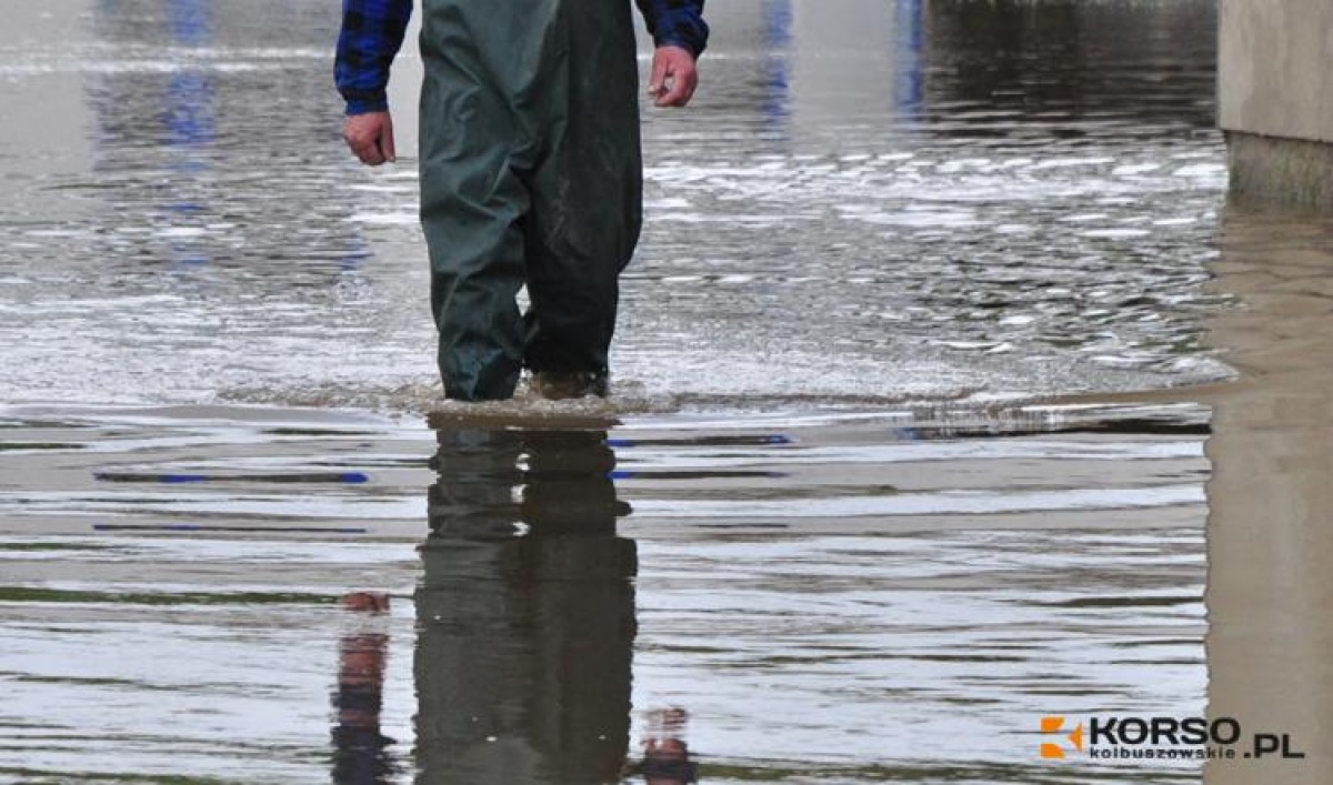 PODKARPACKIE: Alarm przeciwpowodziowy - Kolbuszowa 2019 - Zdjęcie główne