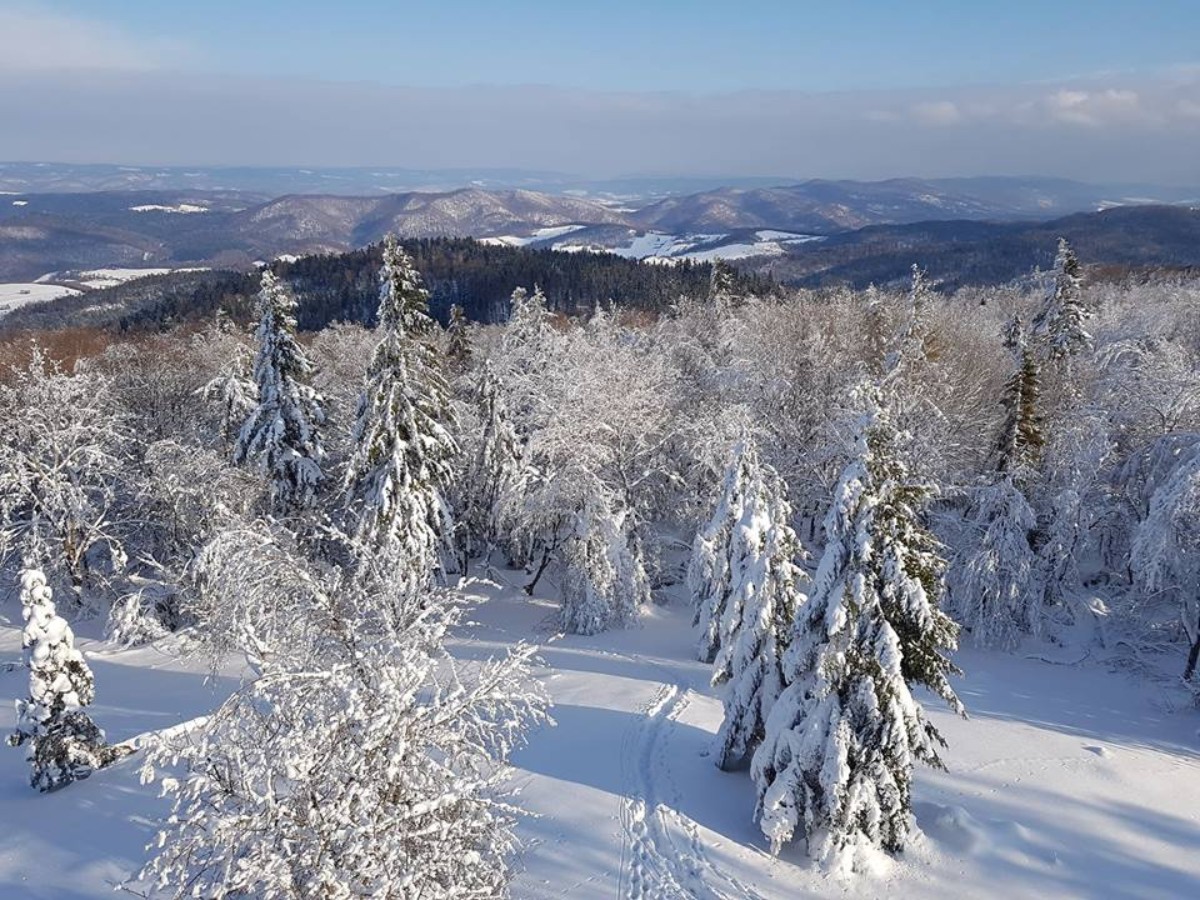 Bieszczady są nieziemsko piękne zimą  [FOTO] - Zdjęcie główne