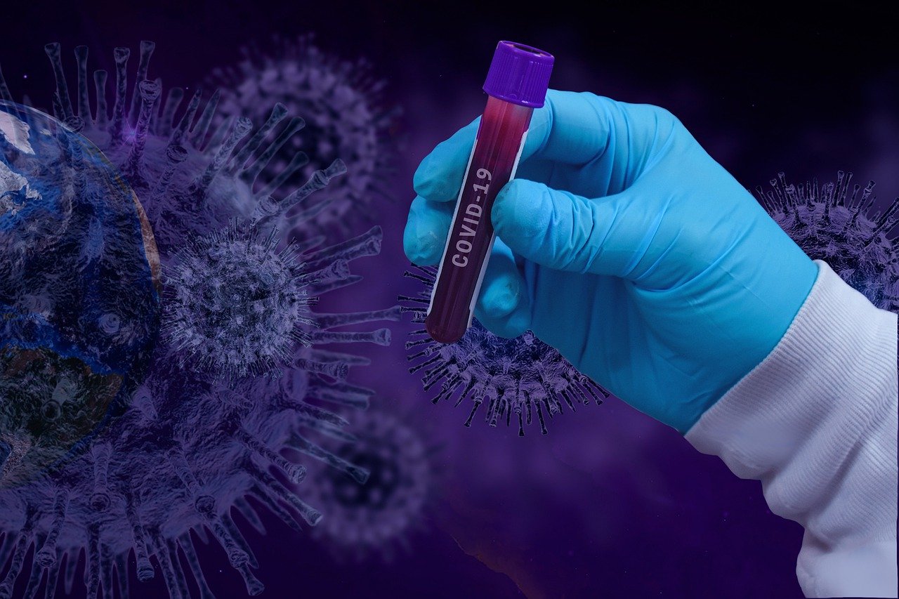Badanie: nanoprzeciwciała lamy mogą bronić w walce z COVID-19 - Zdjęcie główne