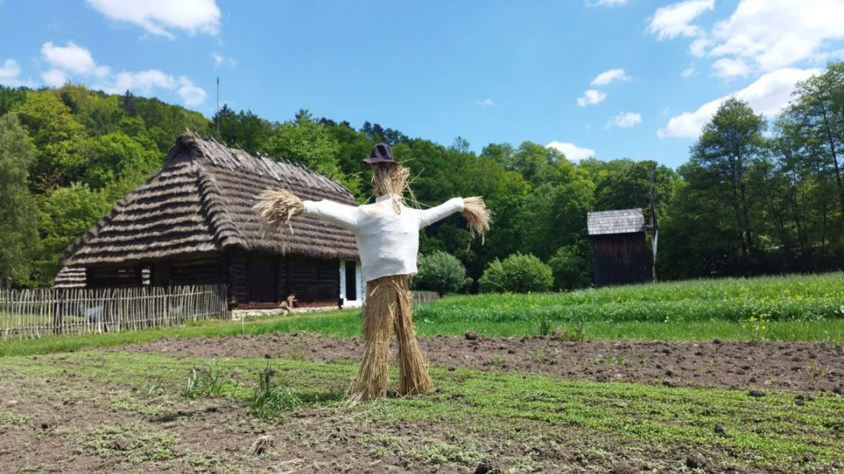 Nowy mieszkaniec w sanockim skansenie. Ty możesz nadać mu imię! - Zdjęcie główne