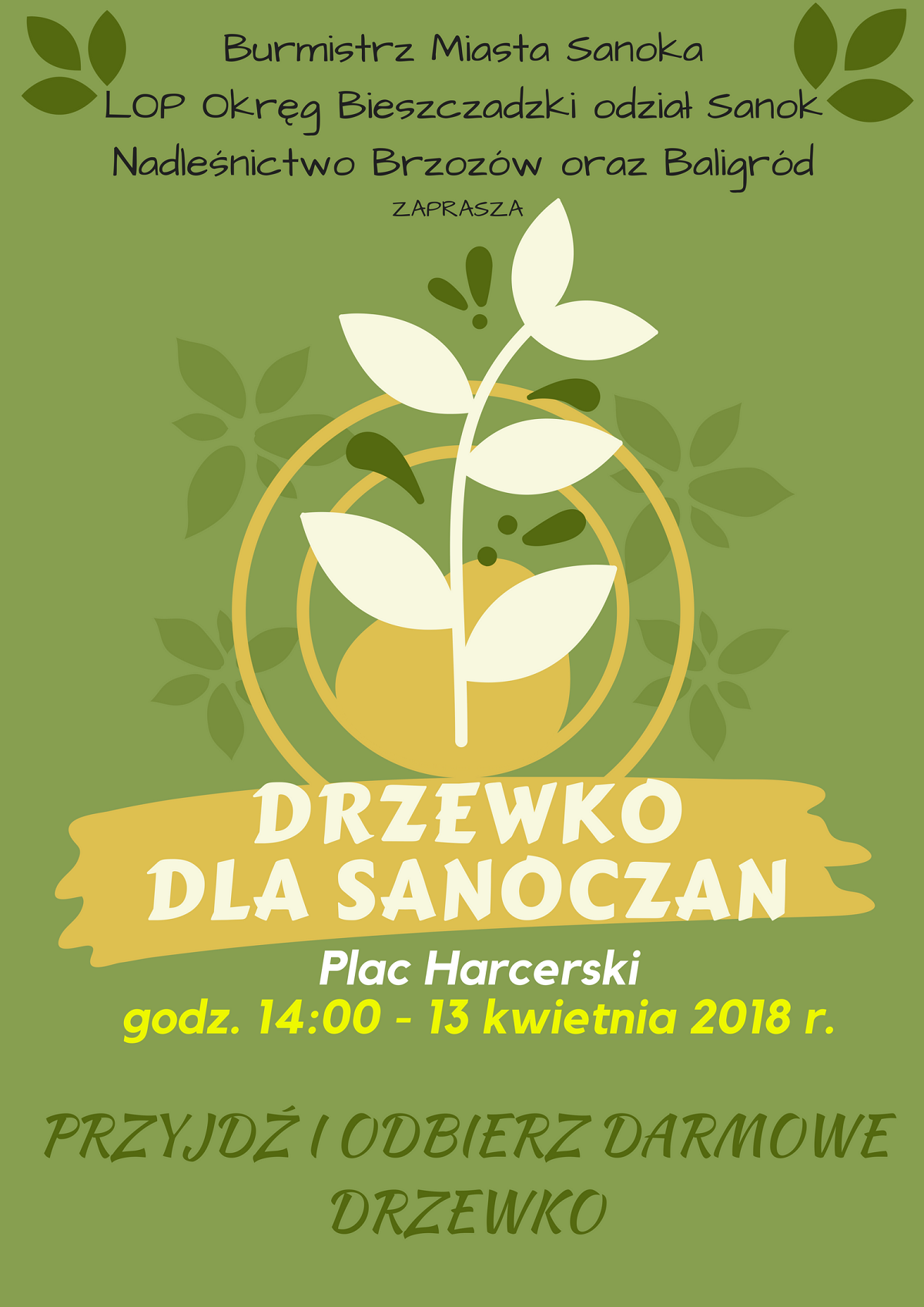 Dzewko dla Sanoczan. W piątek w Sanoku będą rozdawane darmowe drzewka - Zdjęcie główne