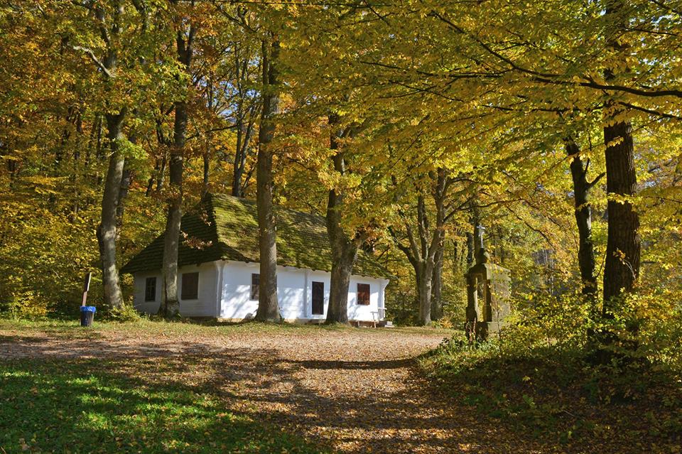 Wyjątkowy jubileusz. Sanocki skansen ma 60 lat! - Zdjęcie główne