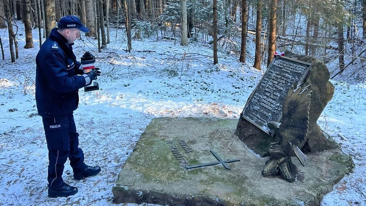 Stracił sterowność i zderzył się z ziemią. Na zalesionym stoku góry w okolicach Cisnej 33 lata temu doszło do katastrofy lotniczej - Zdjęcie główne