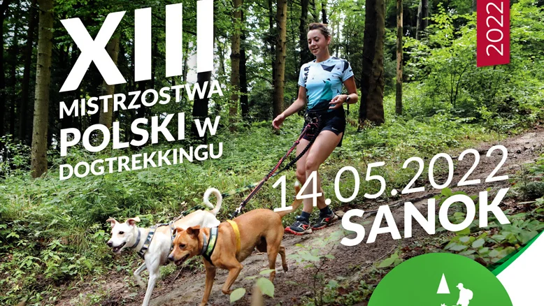 W Sanoku odbędą się XIII Mistrzostwa Polski w Dogtrekkingu. Zobacz przygotowane trasy [ZDJĘCIA] - Zdjęcie główne