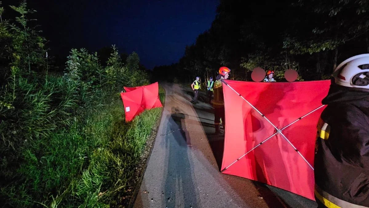 Tragiczny wypadek w Baryczy: Dwóch mężczyzn z powiatu brzozowskiego nie żyje - Zdjęcie główne