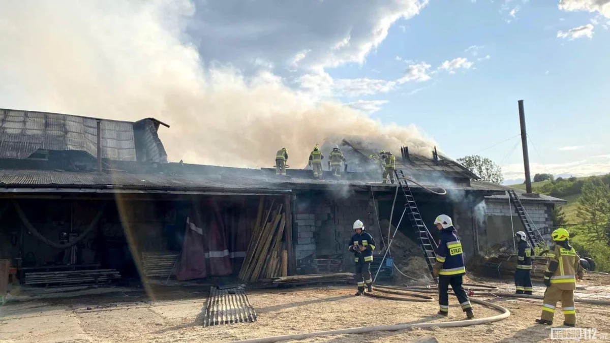 Pożar zakładu drzewnego w Bukowsku - Zdjęcie główne