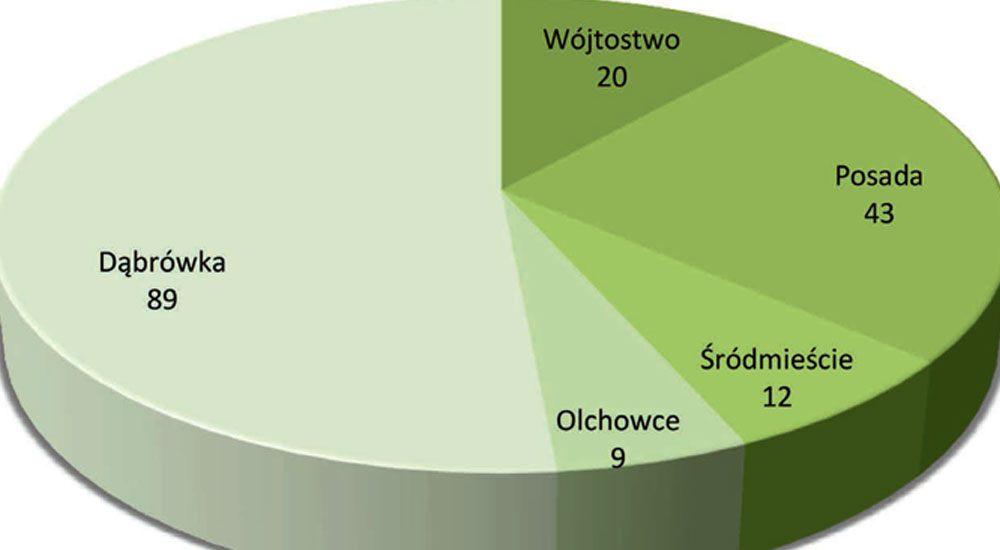 Wycinka i nasadzenia - Zdjęcie główne