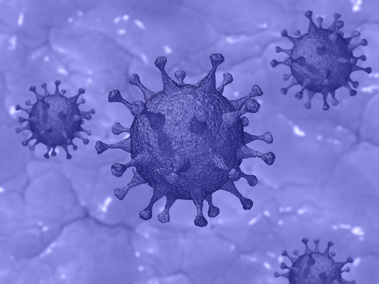 WHO: nie można na razie określić pochodzenia koronawirusa - Zdjęcie główne