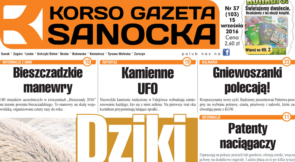 Korso Gazeta Sanocka nr 37/2016 - Zdjęcie główne