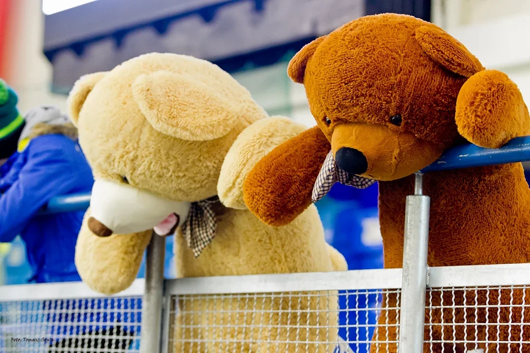 Dzisiaj Teddy Bear Toss na sanockiej Arenie. Miśki trafią do Bieszczadzkiego Pogotowia Ratunkowego w Sanoku - Zdjęcie główne