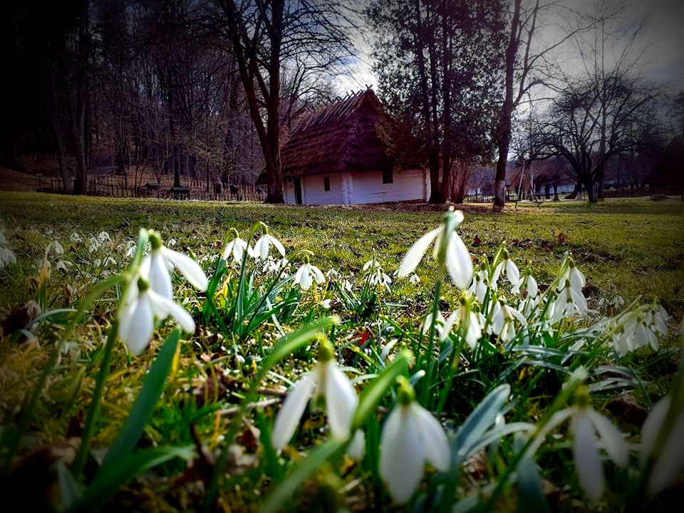 Wiosna, wiosna ach to ty! Pierwszy dzień wiosny w sanockim Skansenie [ZDJĘCIA] - Zdjęcie główne