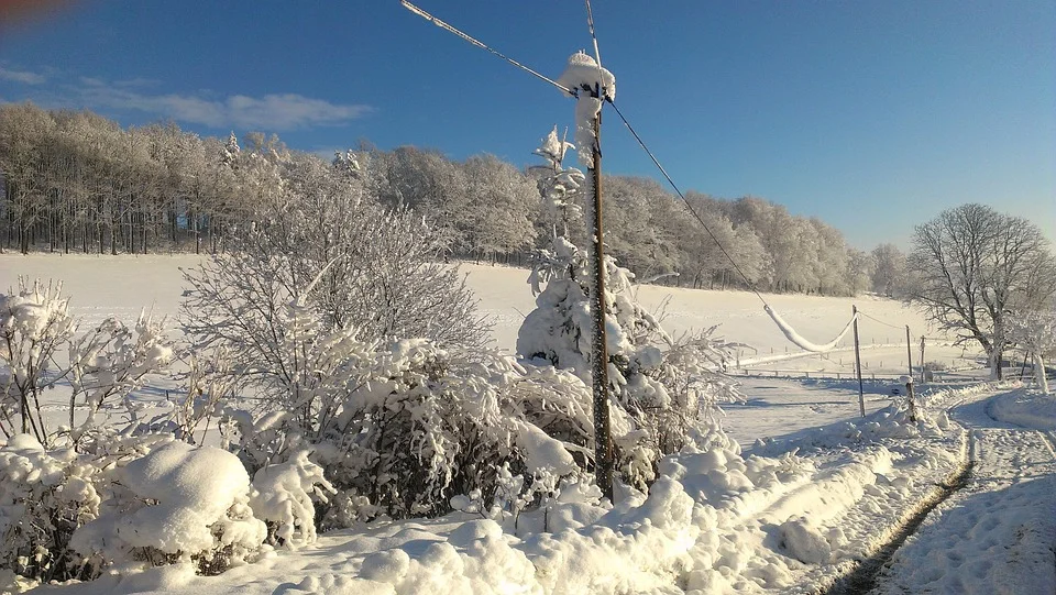 Zerwane linie energetyczne przez spadające konary drzew pod naporem śniegu. W wielu miejscowościach brak prądu! - Zdjęcie główne