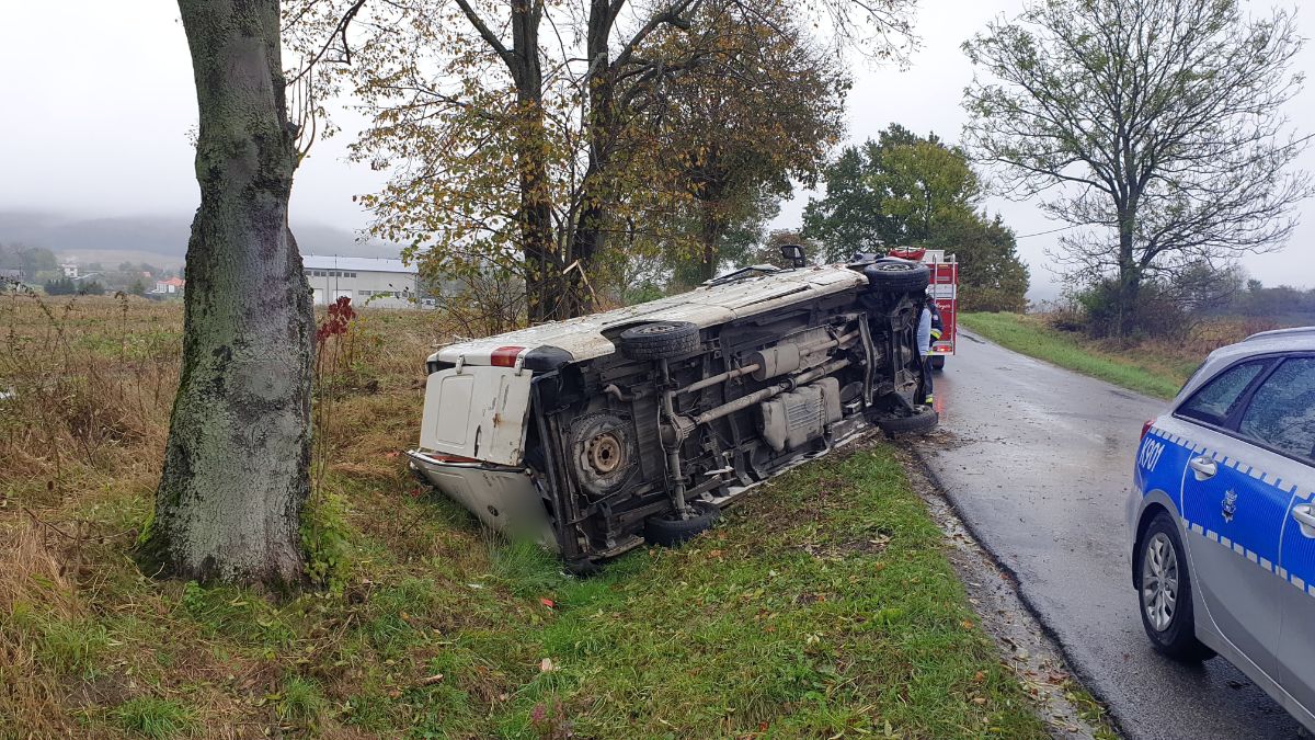 Z OSTATNIEJ CHWILI: Ciężarówka uderzyła w drzewo w Strachocinie [FOTO+VIDEO] - Zdjęcie główne