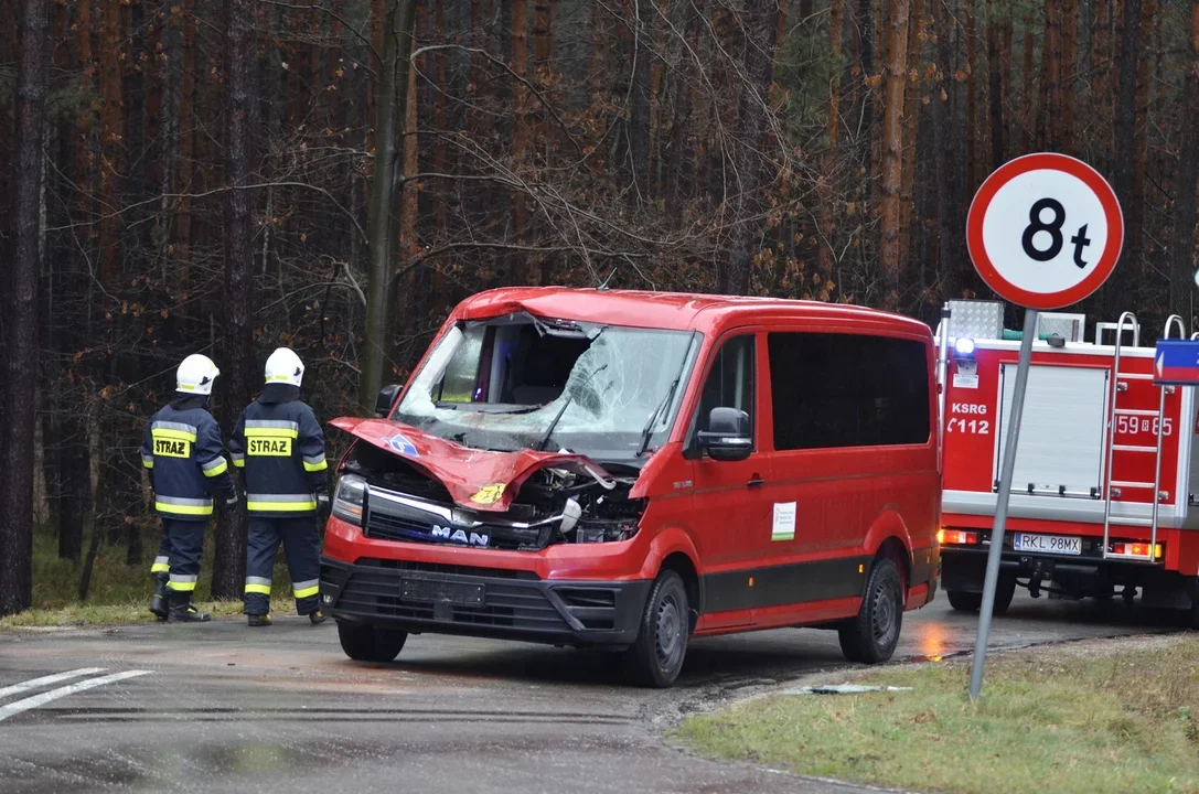 Jeleń wpadł do busa który wiózł dzieci! [ZDJĘCIA] - Zdjęcie główne