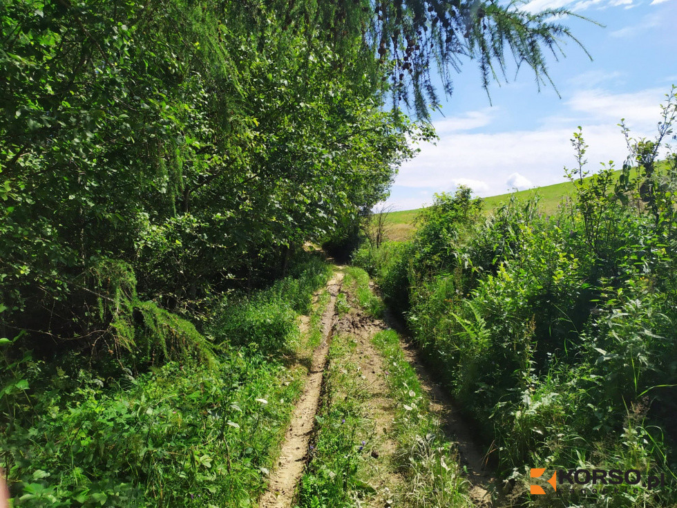 Połączcie się z naturą dzięki wycieczkom przyrodniczym w BdPN! - Zdjęcie główne
