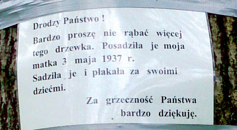 Proszę nie rąbać drzewka - Zdjęcie główne