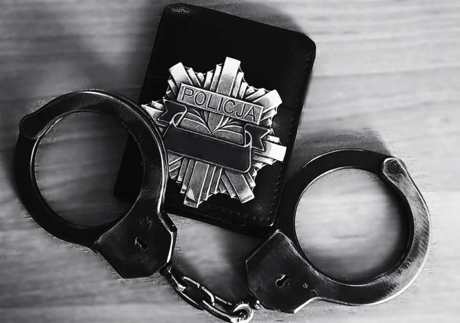 Sprawne działania funkcjonariuszy Wydziału Kryminalnego w Sanoku. 22-latek usłyszał łącznie 11 zarzutów! - Zdjęcie główne