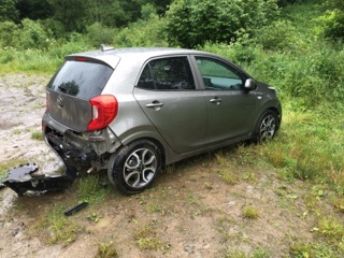 Bieszczady: Głodny niedźwiedź rozwalił samochód w poszukiwaniu jedzenia - Zdjęcie główne