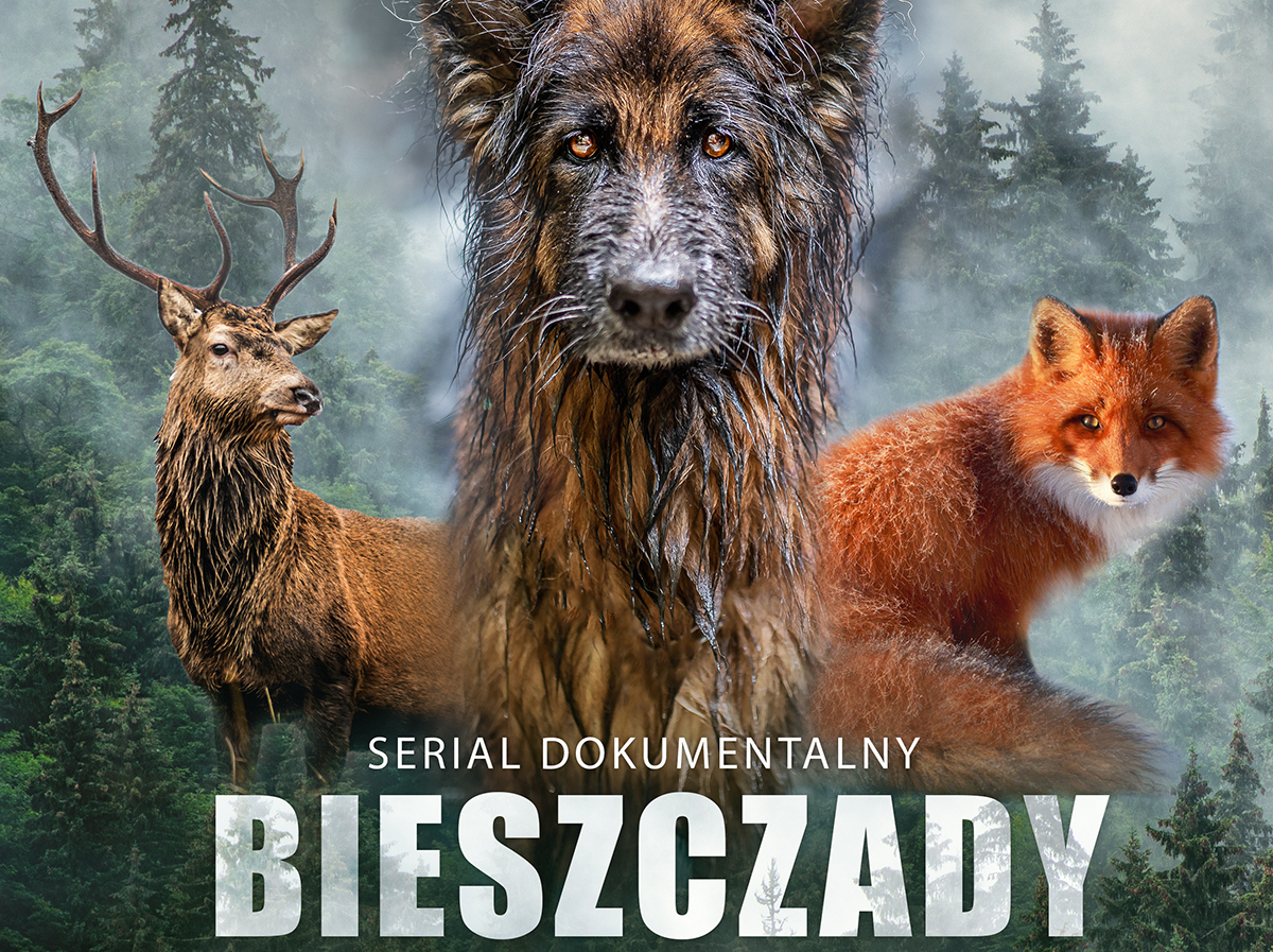 NASZ PATRONAT: „Bieszczady - Na Ratunek" - nowy serial o Bieszczadach - Zdjęcie główne