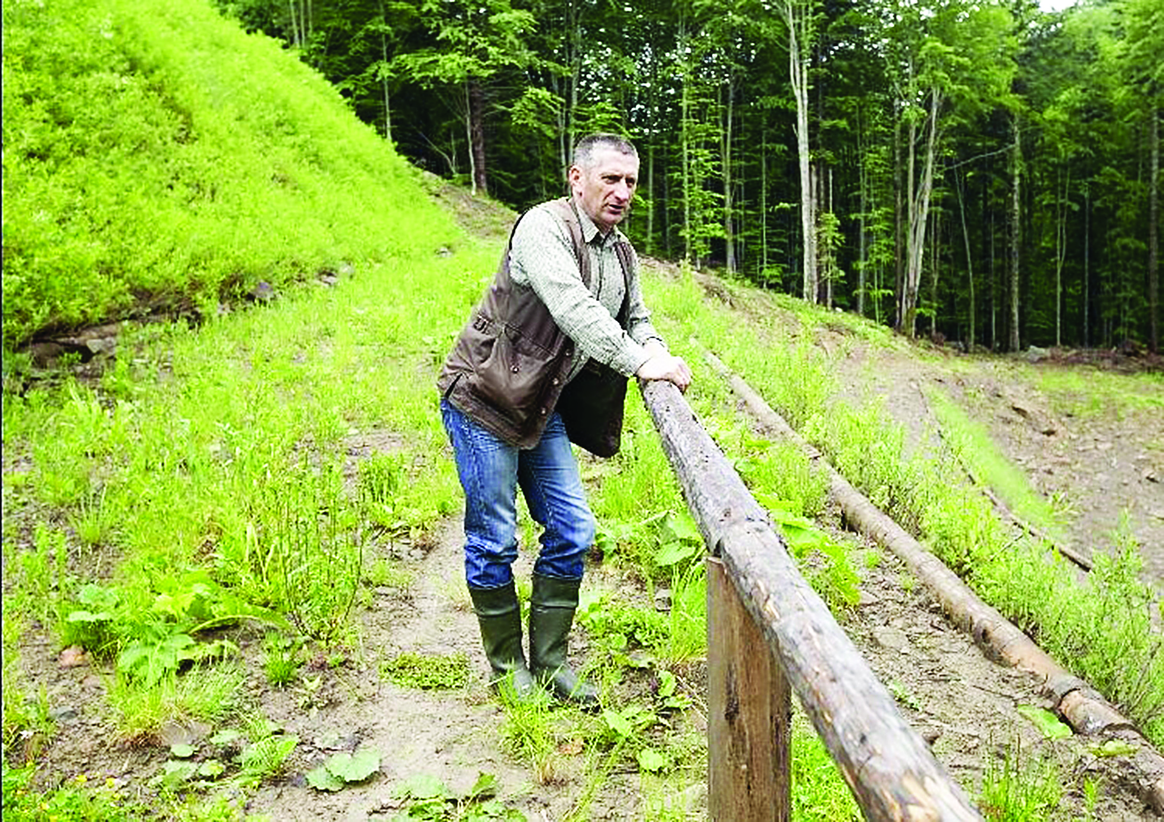 Edward Kołomyja - leśnik, który kocha konie - Zdjęcie główne