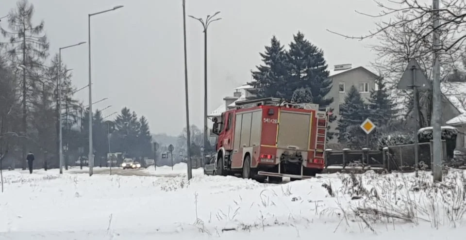 Państwowa Straż Pożarna w Sanoku przeszukuje brzegi i rzekę San pod kątem zaginionego Józefa Mika  - Zdjęcie główne