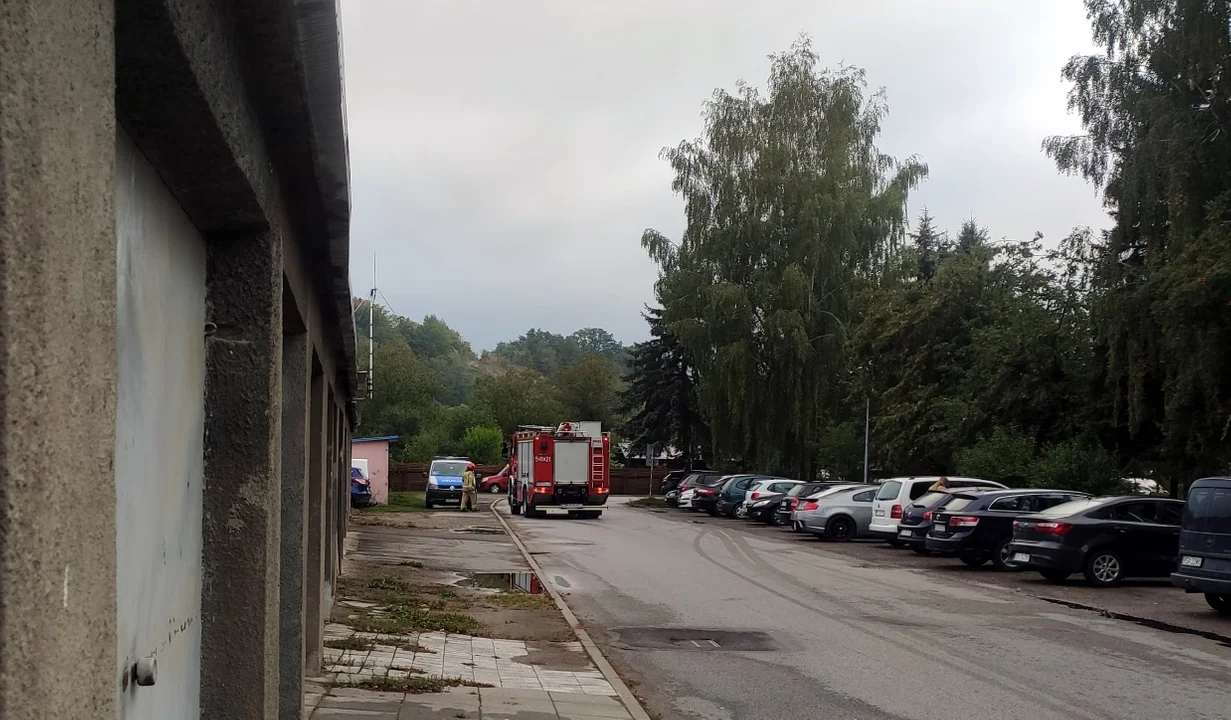 Sanok. 46-latek popełnił samobójstwo na terenie ogródków działkowych - Zdjęcie główne