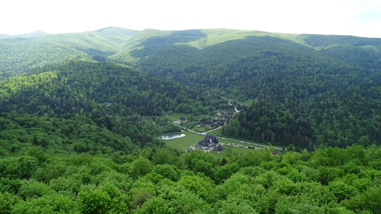 Rekordowa liczba turystów odwiedziła Bieszczadzką Kolejkę Leśną i wieżę widokową na Jeleniowatym - Zdjęcie główne