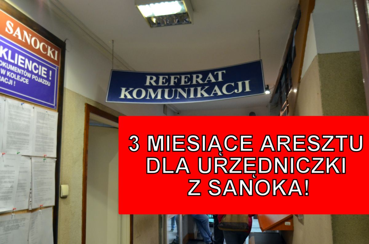 AFERA w Wydziale Komunikacji w Sanoku: 3-miesięczny areszt dla 56-letniej urzędniczki - Zdjęcie główne