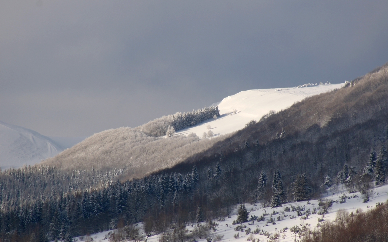 BIESZCZADY W OBIEKTYWIE: Nowa śnieżna odsłona Bieszczad [ZDJĘCIA] - Zdjęcie główne