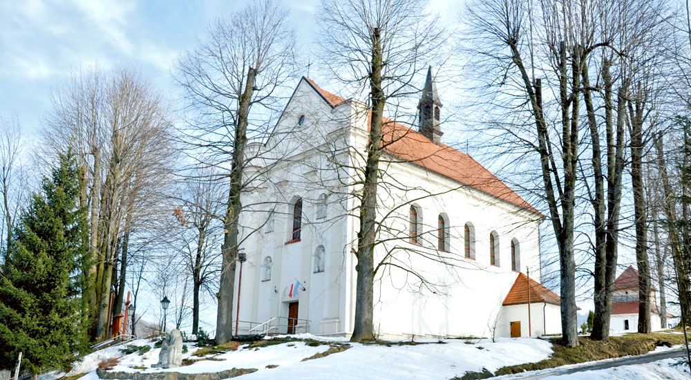 Parafia pw. św. Mikołaja Biskupa i Matki Boskiej Szkaplerznej w Tyrawie Wołoskiej - Zdjęcie główne