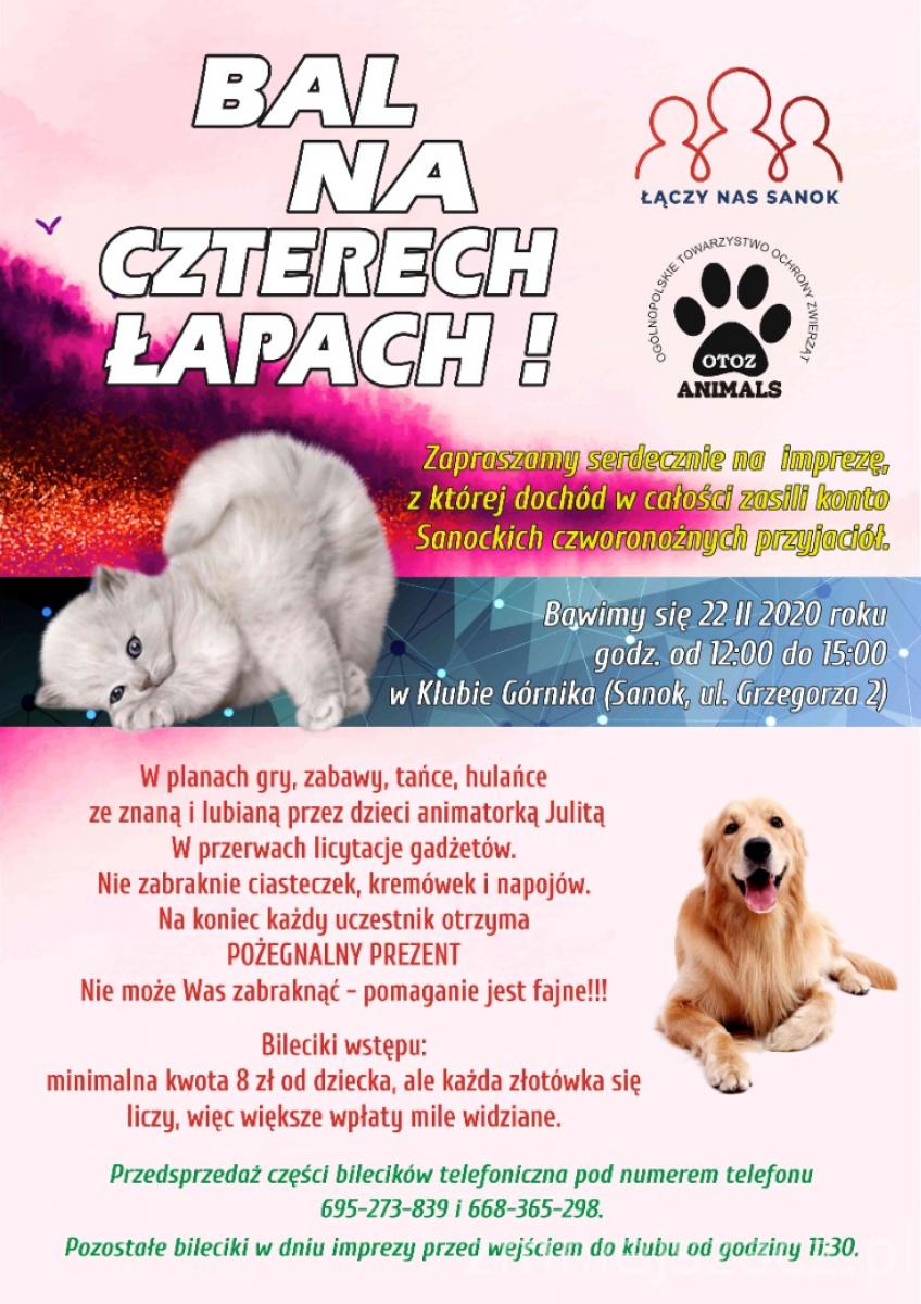 Zapraszamy na "Bal na czterech łapach" dla sanockich czworonogów - Zdjęcie główne