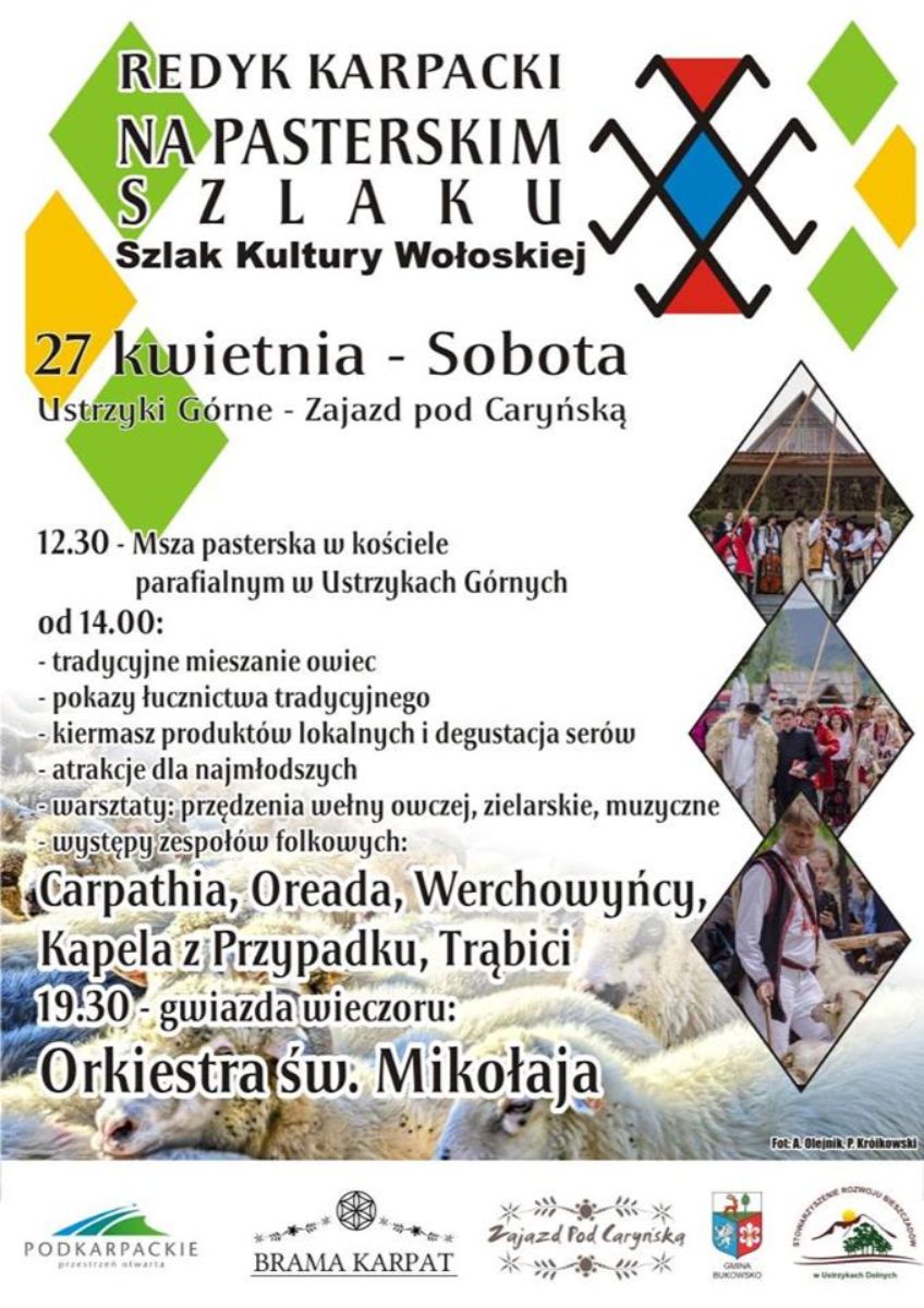 BIESZCZADY: Redyk Karpacki - "Na pasterskim szlaku" - Zdjęcie główne