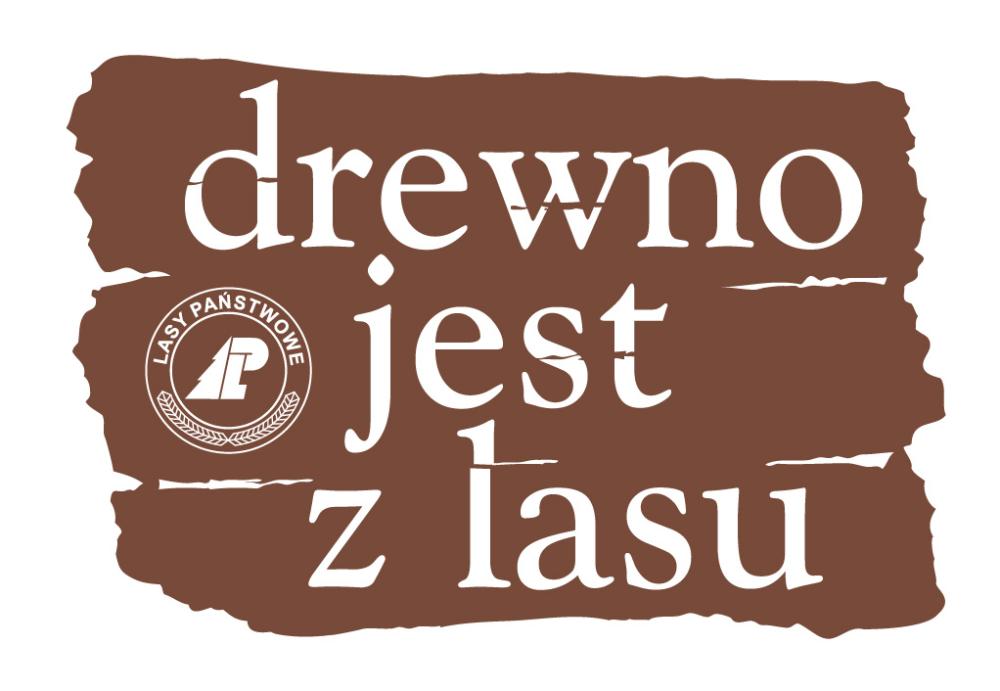 Drewno jest z lasu - Zdjęcie główne