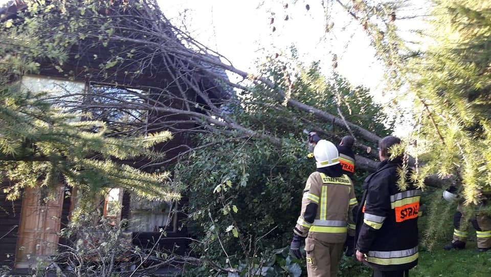 Bieszczady: Łamane drzewa leciały na domy i drogi [FOTO] - Zdjęcie główne
