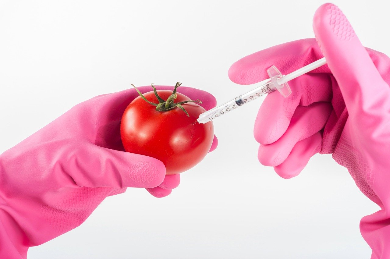 Zmiany w znakowaniu żywności bez GMO - Zdjęcie główne