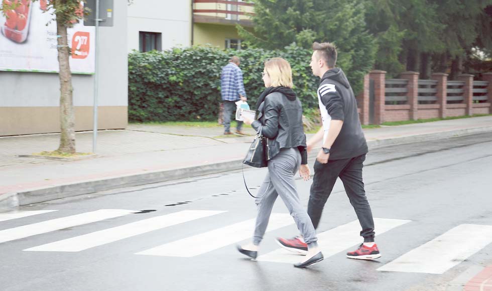 Zebra w czynie społecznym - Zdjęcie główne