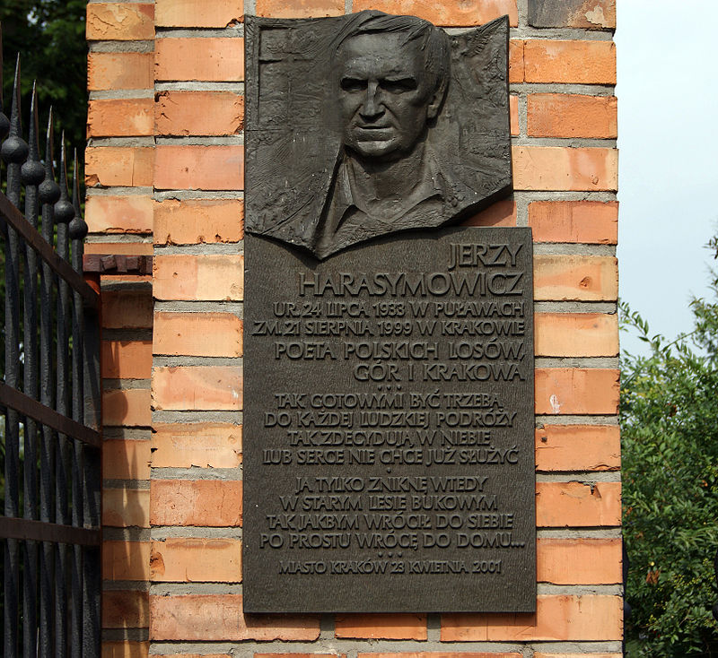ZDANIE ODRĘBNE: Bieszczady i poezja - Zdjęcie główne
