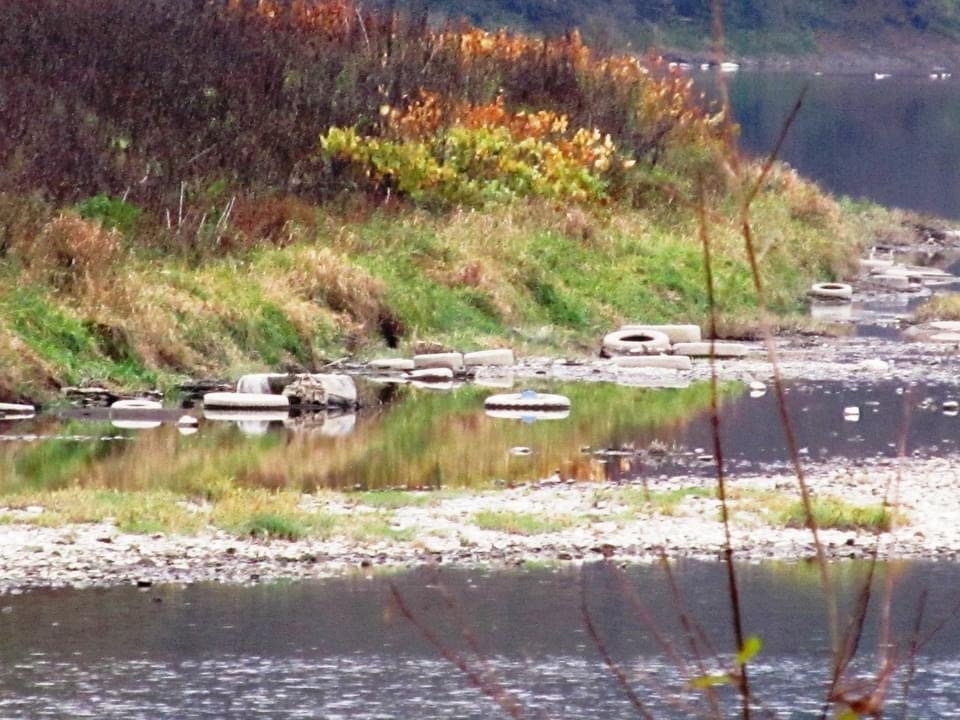 Dziesiątki opon samochodowych na lewym brzegu Sanu [FOTO] - Zdjęcie główne