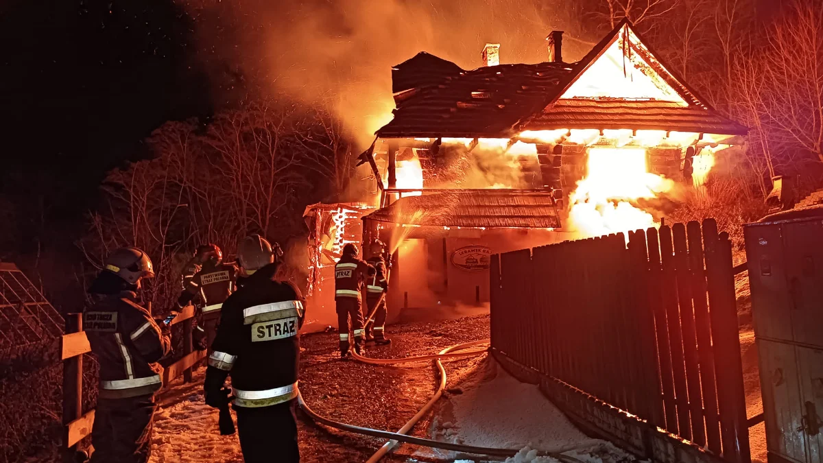 Spłonęły domki letniskowe w Solinie. Pożar wybuchł nad ranem [ZDJĘCIA,WIDEO] - Zdjęcie główne