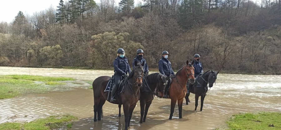 Tarliska 2021 - Działania prewencyjne Policji i Straży Rybackiej [ZDJĘCIA] - Zdjęcie główne