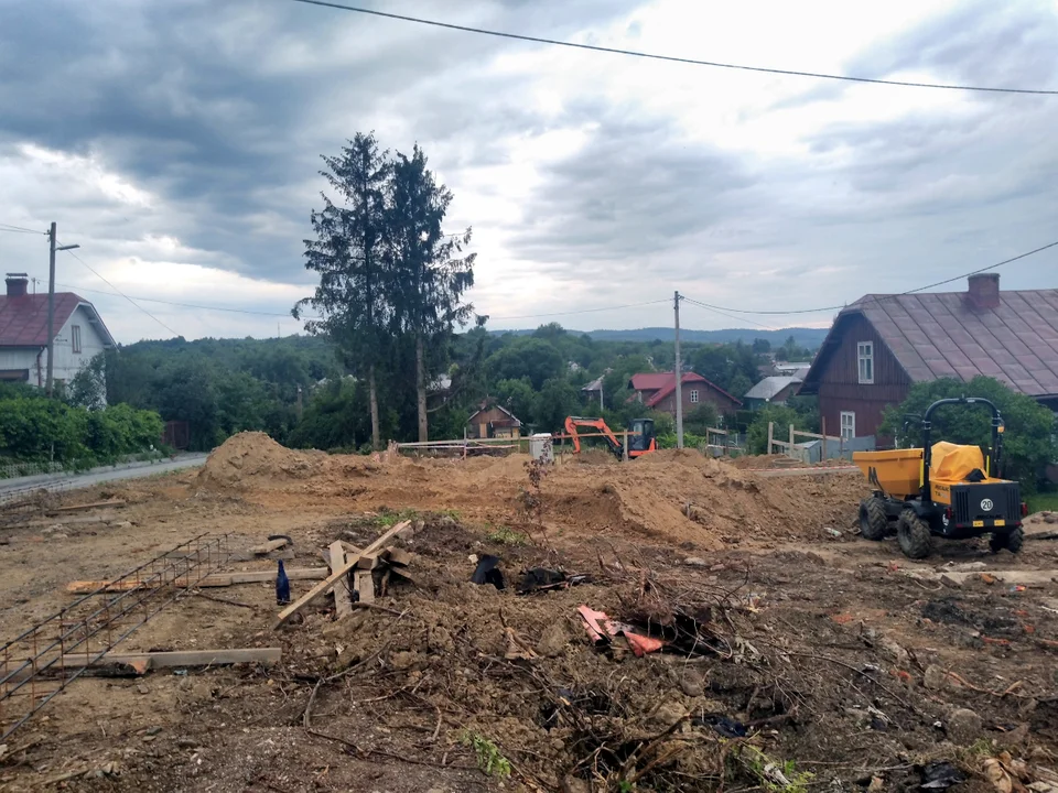 Sanok. Wycinają 50-letnie zdrowe świerki w chronionym okresie lęgowym ptaków! - Zdjęcie główne